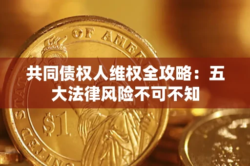 武汉共同债权人维权全攻略：五大法律风险不可不知