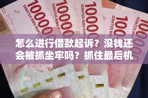 武汉怎么进行借款起诉？没钱还会被抓坐牢吗？抓住最后机会！