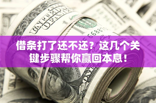 武汉借条打了还不还？这几个关键步骤帮你赢回本息！