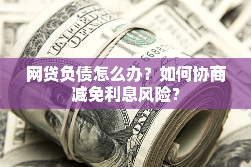 武汉网贷负债怎么办？如何协商减免利息风险？