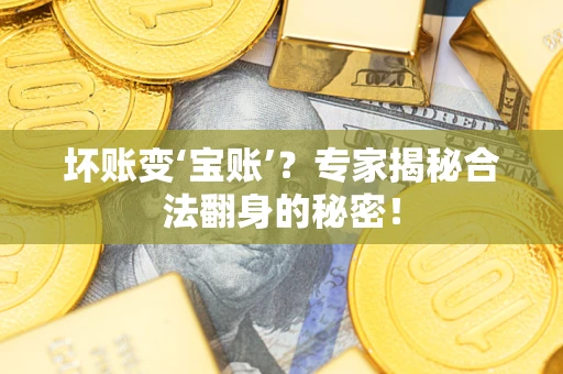 武汉坏账变‘宝账’？专家揭秘合法翻身的秘密！