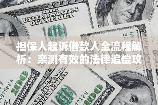 武汉担保人起诉借款人全流程解析：亲测有效的法律追偿攻略