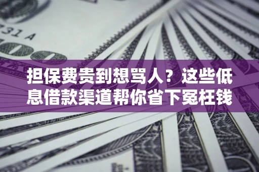 武汉担保费贵到想骂人？这些低息借款渠道帮你省下冤枉钱