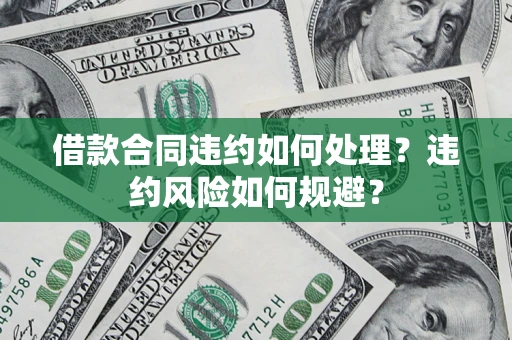 武汉借款合同违约如何处理？违约风险如何规避？