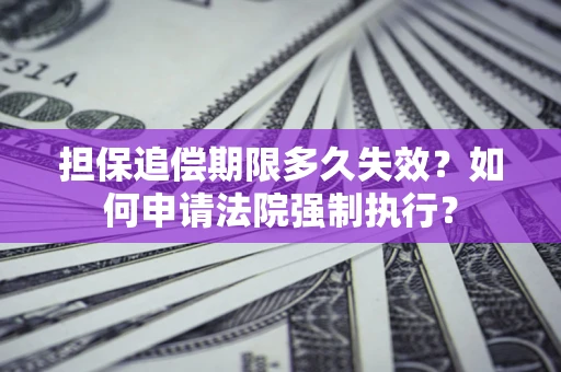 武汉担保追偿期限多久失效？如何申请法院强制执行？