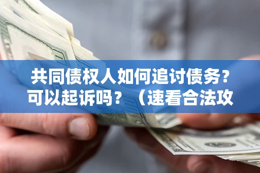 武汉共同债权人如何追讨债务？可以起诉吗？（速看合法攻略）