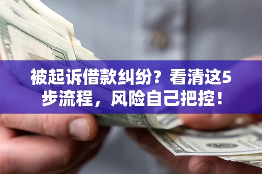 武汉被起诉借款纠纷？看清这5步流程，风险自己把控！