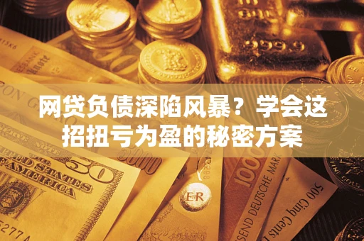 武汉网贷负债深陷风暴？学会这招扭亏为盈的秘密方案