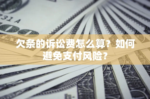武汉欠条的诉讼费怎么算？如何避免支付风险？